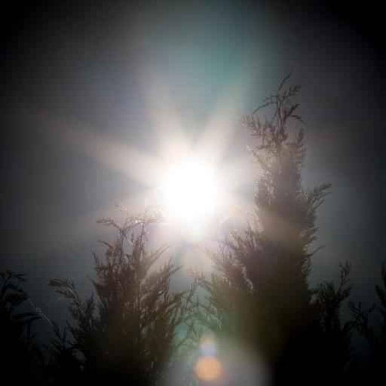 Frisse temperaturen ruimen plaats voor warm weekend