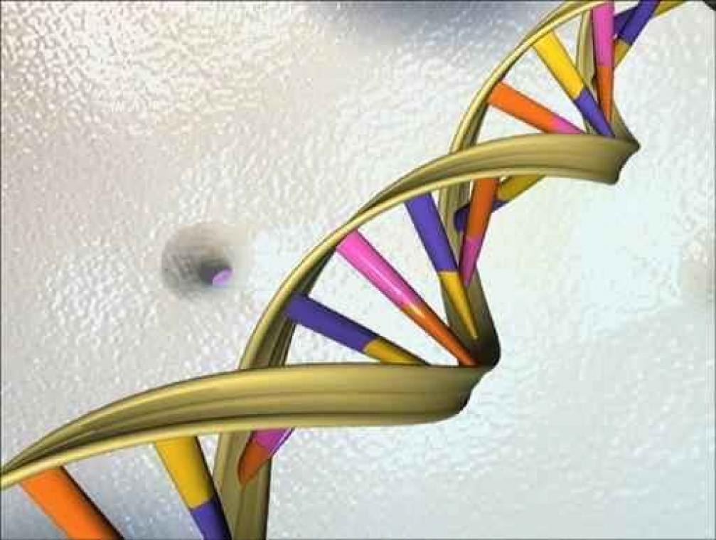 Reuzedatabank met DNA van Belgen in de maak