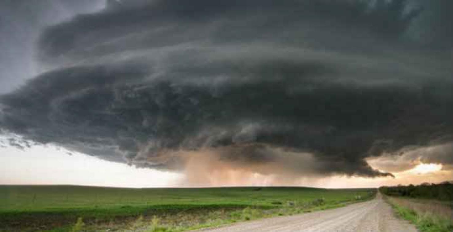 Zangvogels kunnen tornado's voorspellen