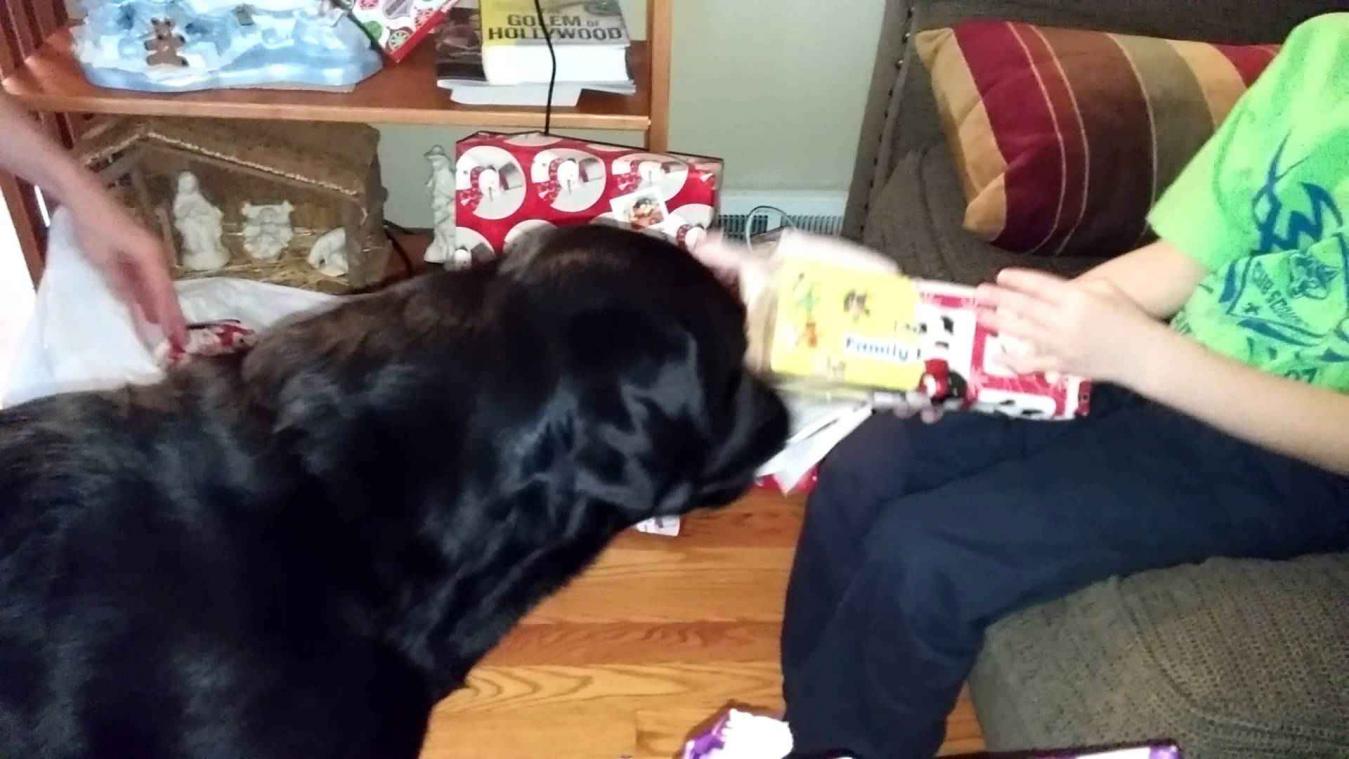 Deze hond geniet ook van cadeautjes uitpakken