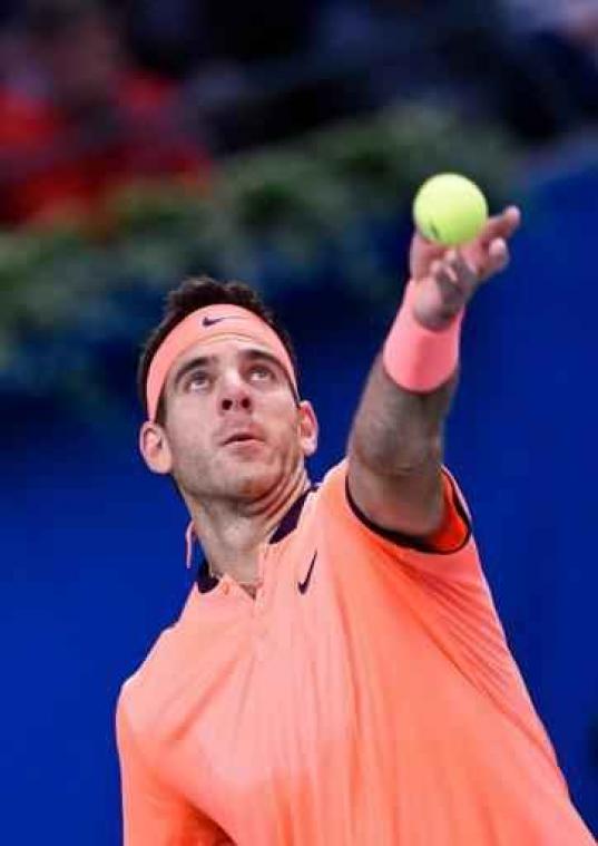 Juan Martin del Potro is eerste finalist in Stockholm