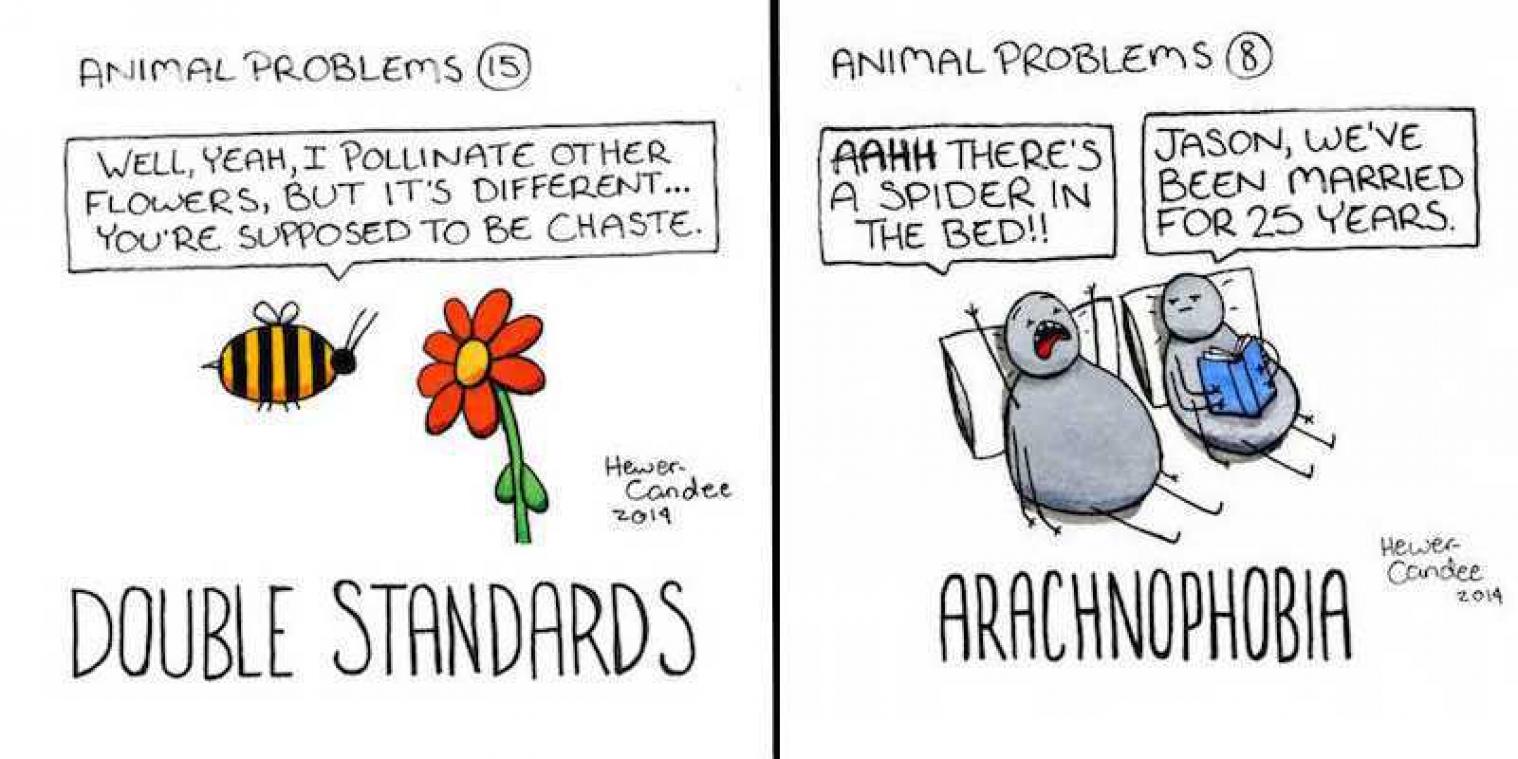 Artiest maakt van dierenproblemen een hilarische cartoon