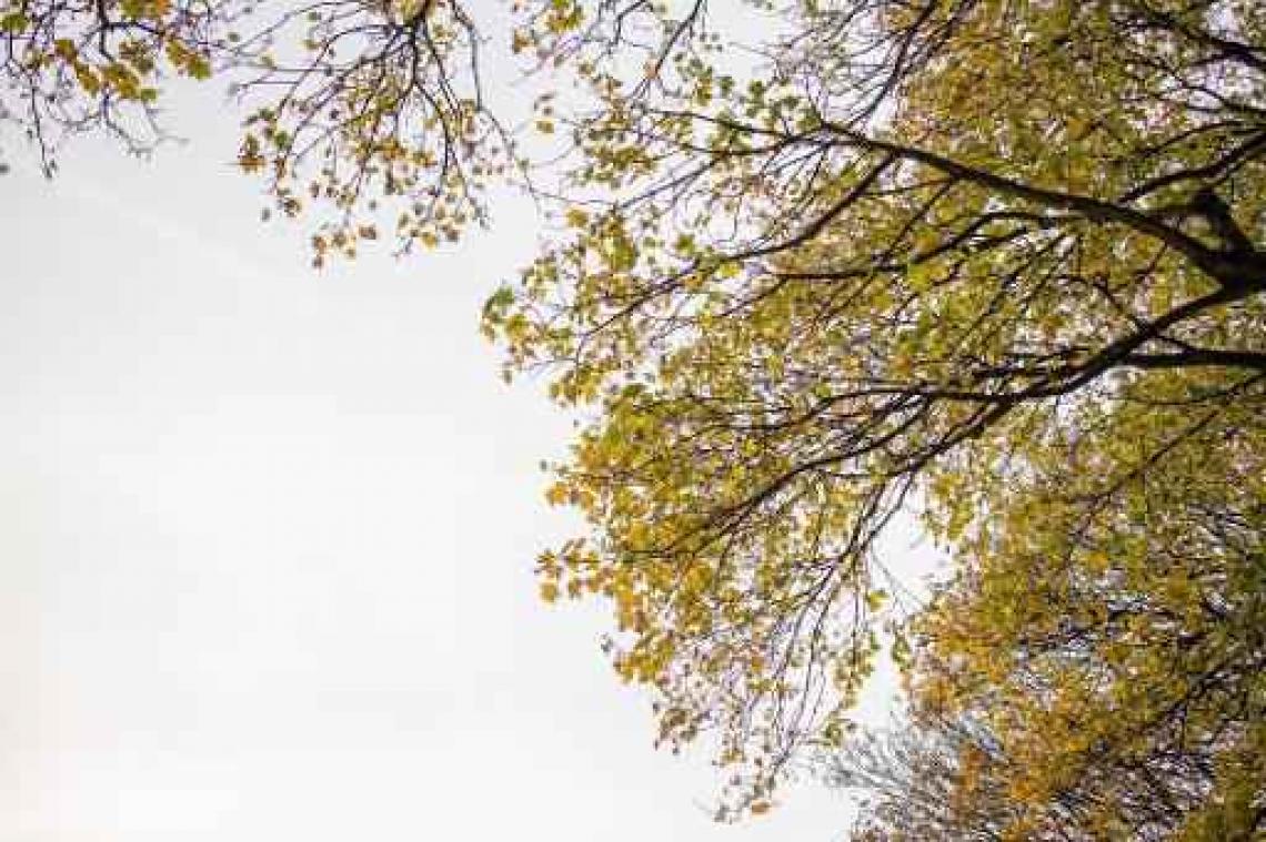 De hele week nog rustig herfstweer