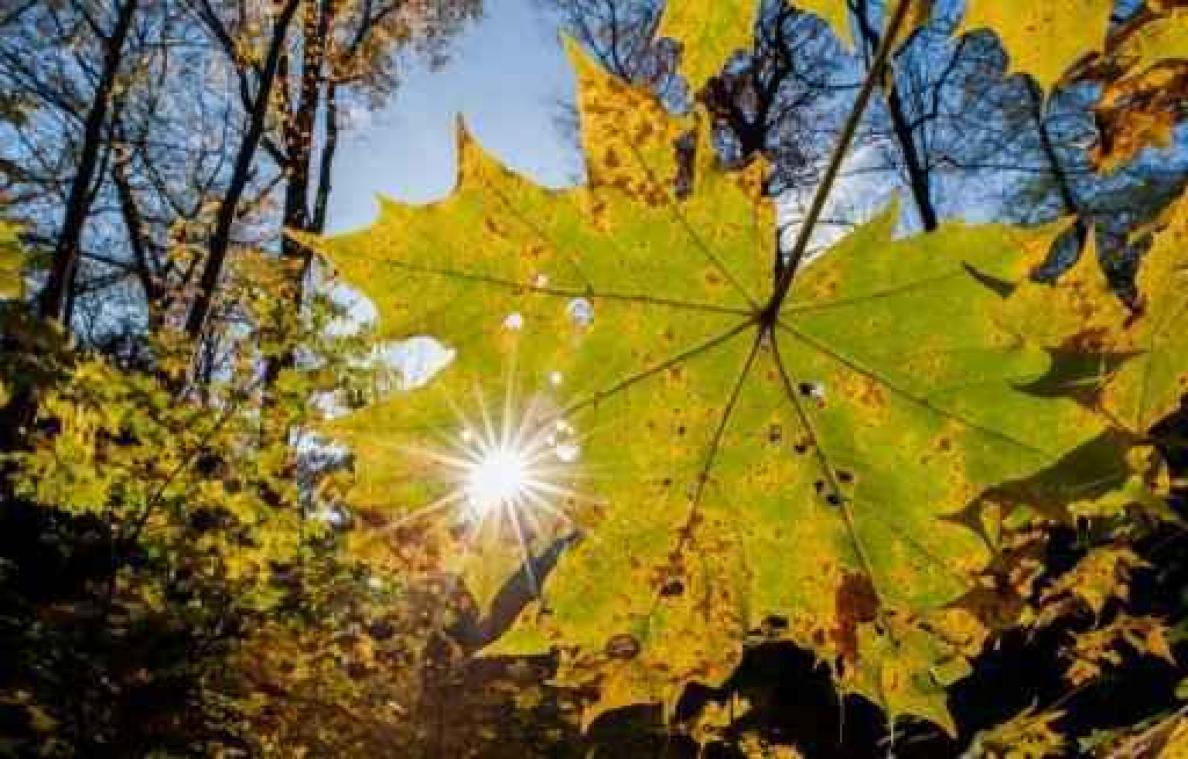 Droog en rustig herfstweer