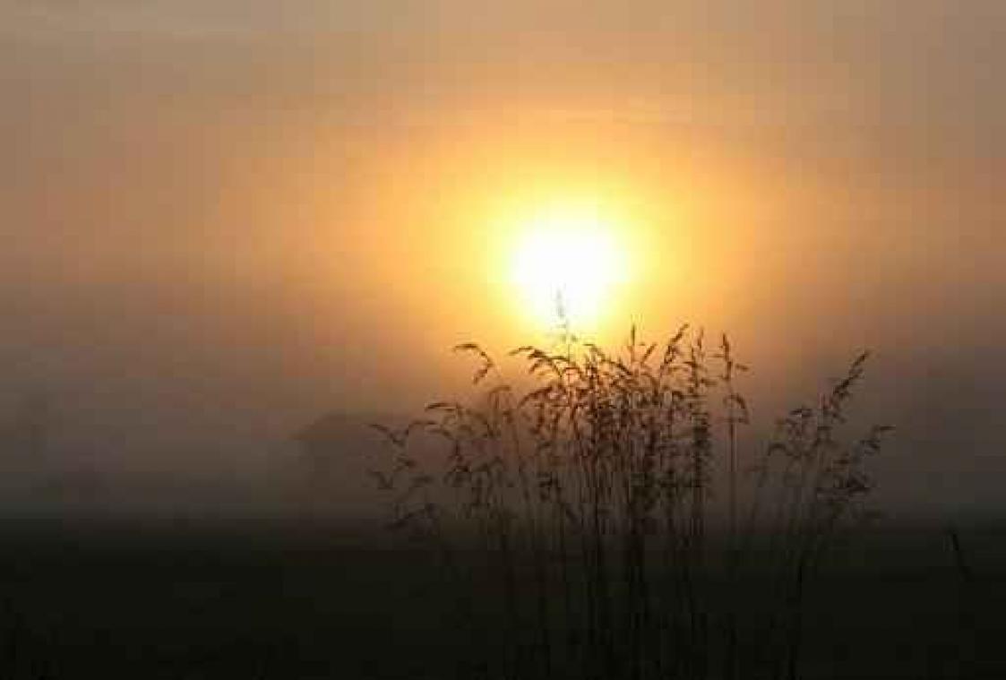 Zon levert gevecht met mist