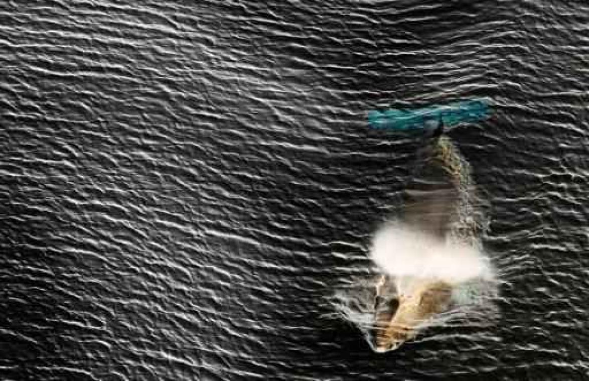 Akkoord rond beschermd maritiem gebied in Antarctica