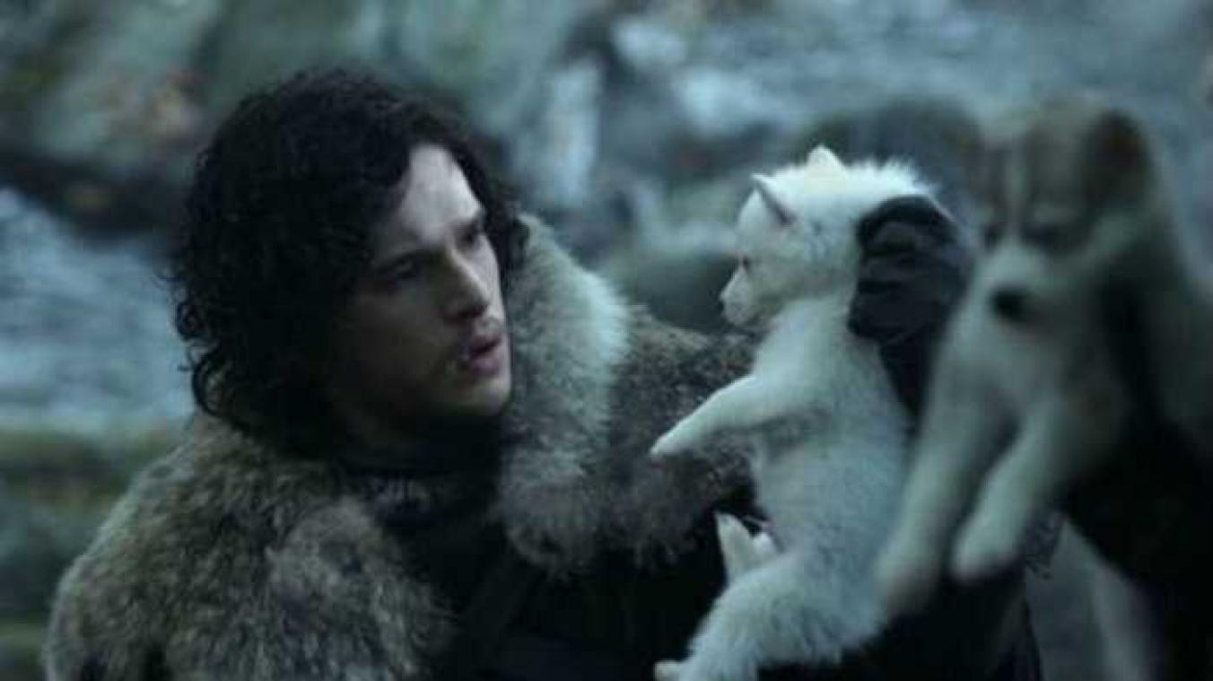 Game of Thrones-fans moeten stoppen met het kopen van wolfhonden