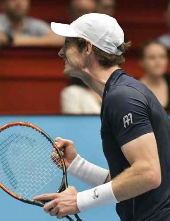 Andy Murray verslaat Jo-Wilfried Tsonga in finale