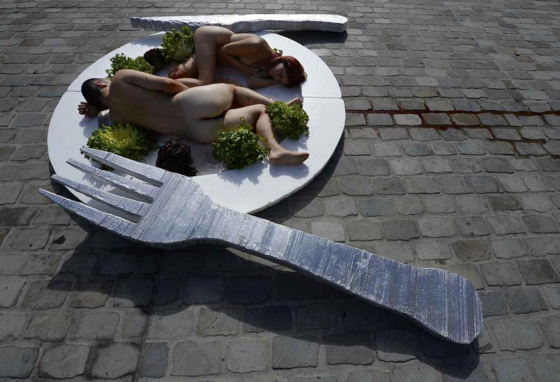 Vegetarisch dieet beschermt niet tegen hartziekten