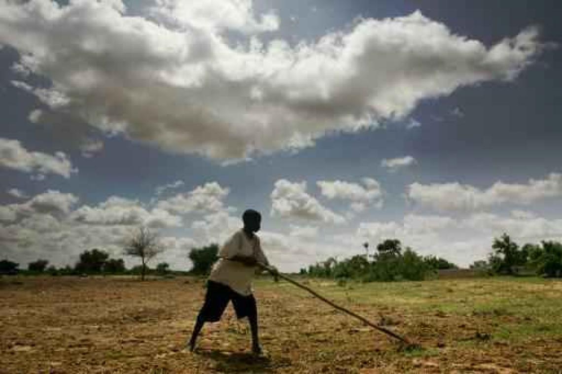 Achttien doden bij geweld tussen veehouders en landbouwers in Niger