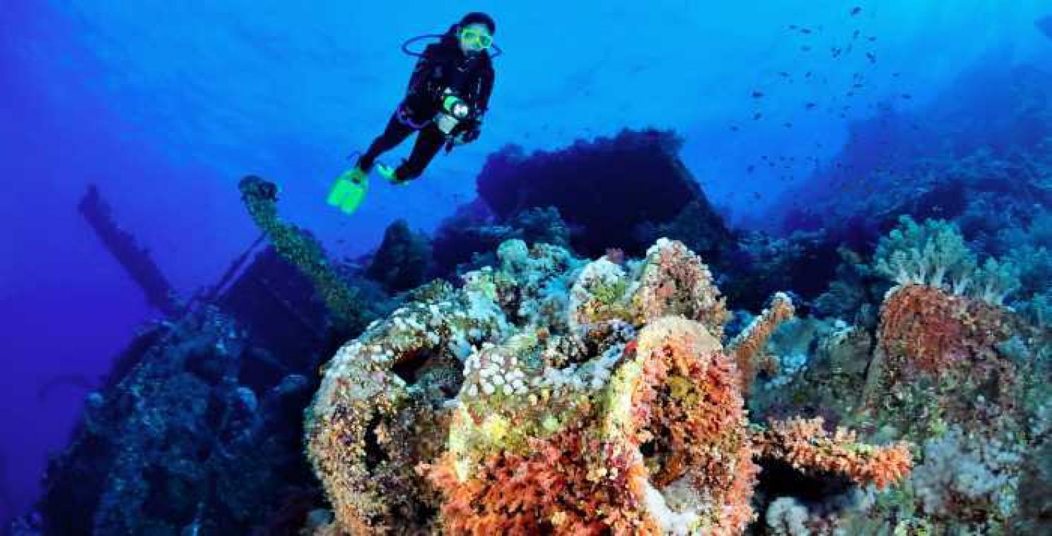 De magische onderwaterwereld van Egypte