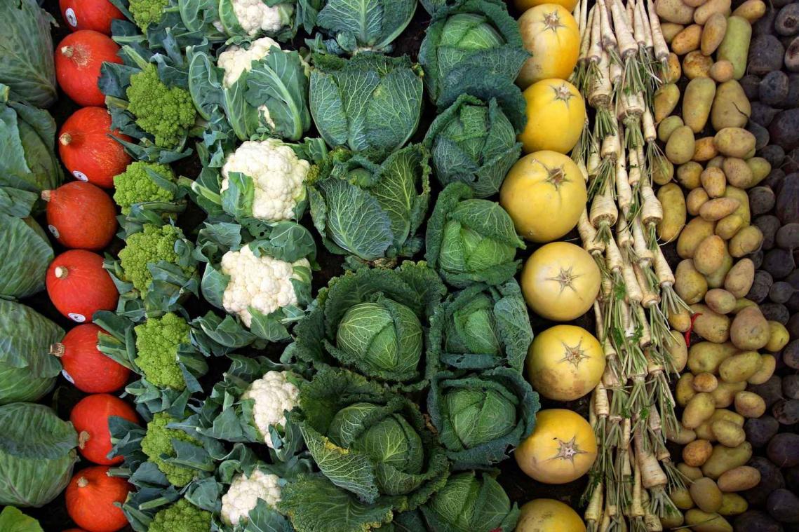 Vitaminen van A tot E!