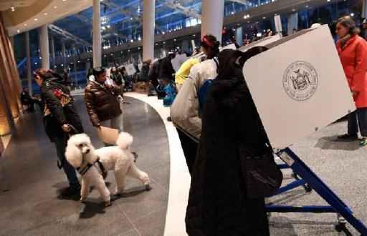 Veldslagen voor de Senaat in ruim half dozijn staten