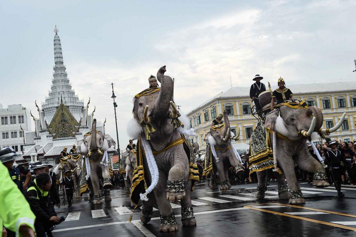 IN BEELD. Olifanten eren Thaïse koning Bhumibol