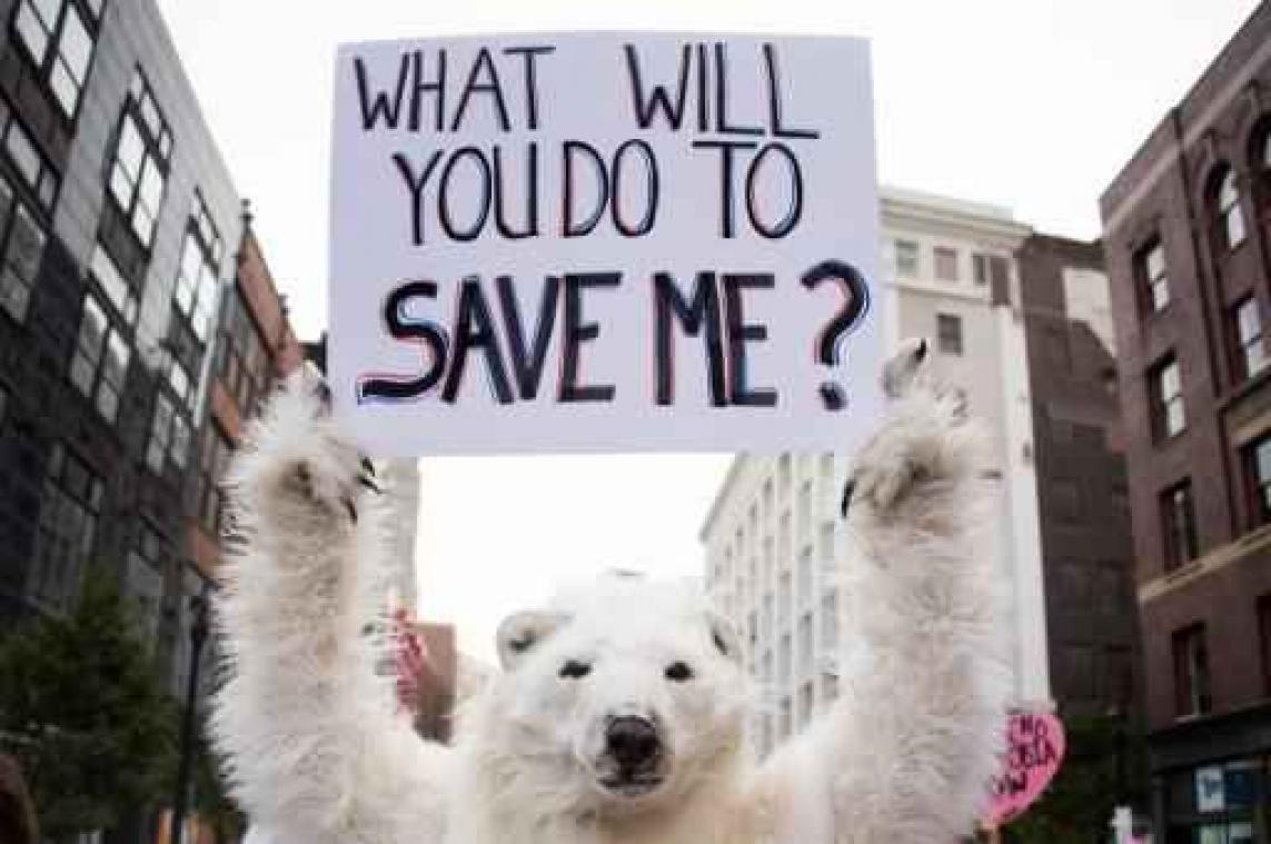"Dit zorgt voor terugval in klimaatbeleid, maar ommekeer is onmogelijk"