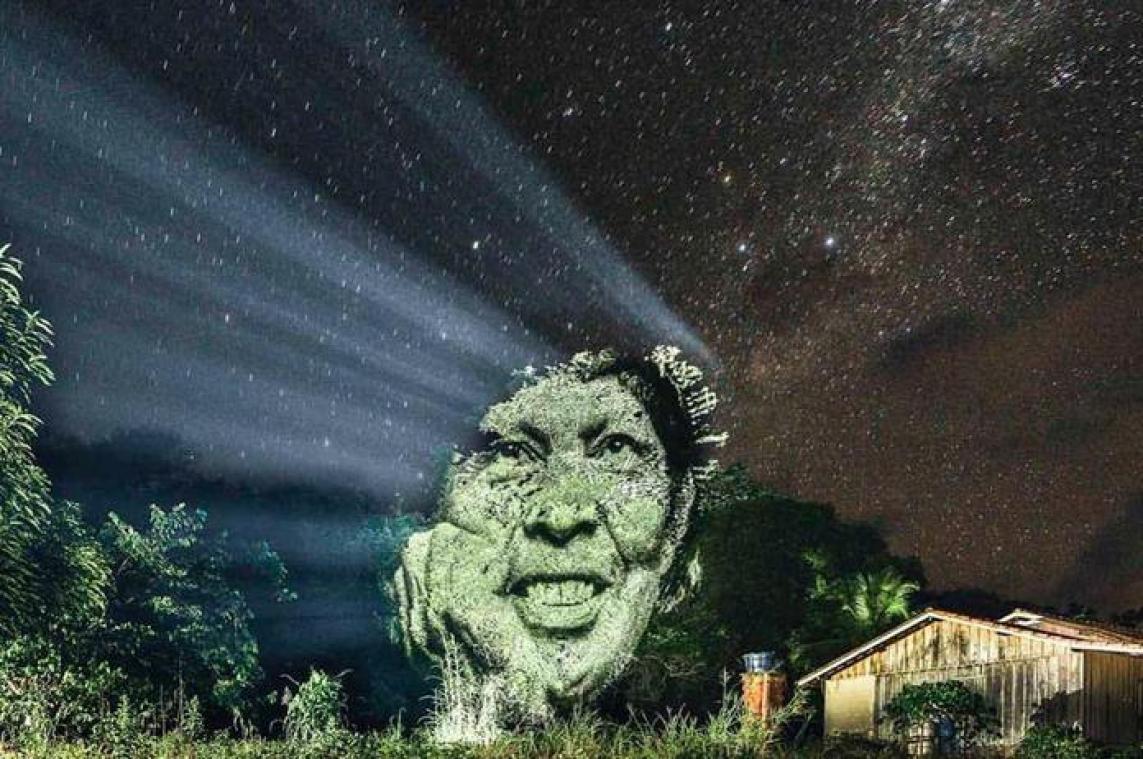 Franse street artist werpt nieuw licht op ontbossing