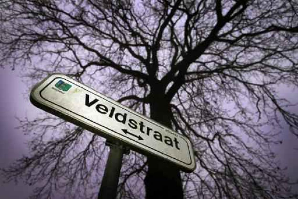 Gent springt vanaf maart 2017 op kar van koopzondagen