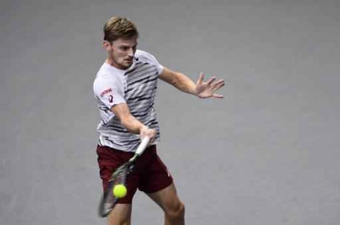 ATP World Tour Finals - David Goffin donderdag eerste Belg in seizoensfinale
