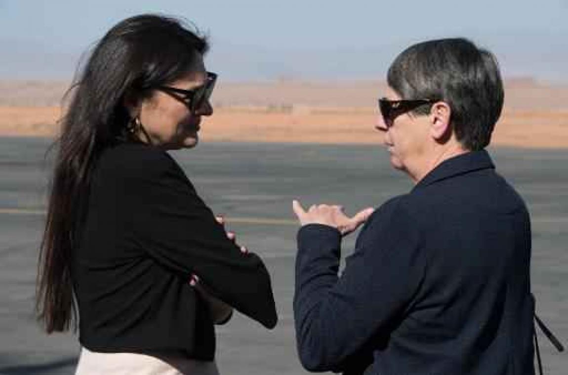 COP22 - Marghem bespreekt problemen op energiemarkt met Duitse collega