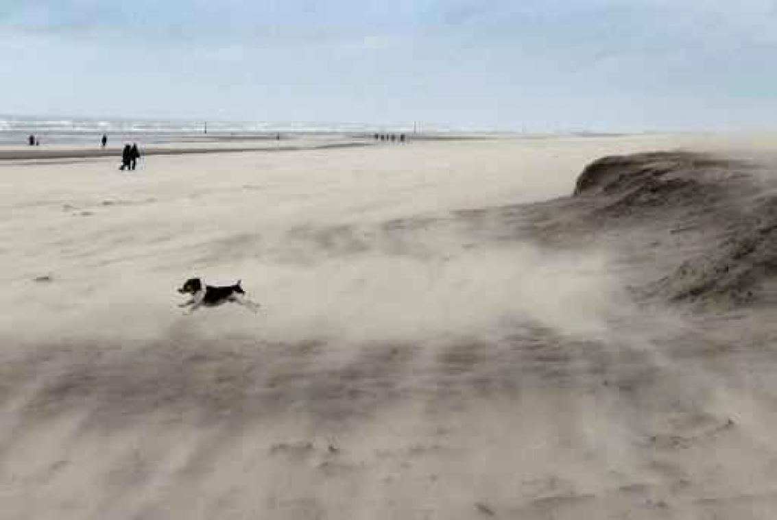Door stormweer geen junioren en beloftenwedstrijden in Duinencross