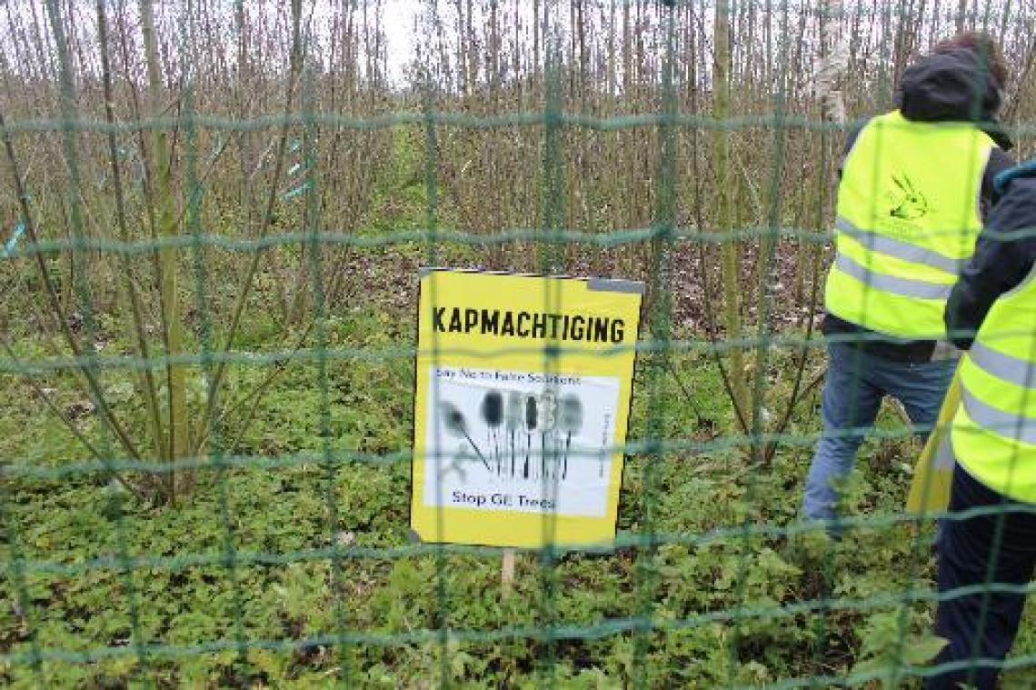 Field Liberation Movement noemt veldproef met ggo-populieren "valse klimaatoplossing"
