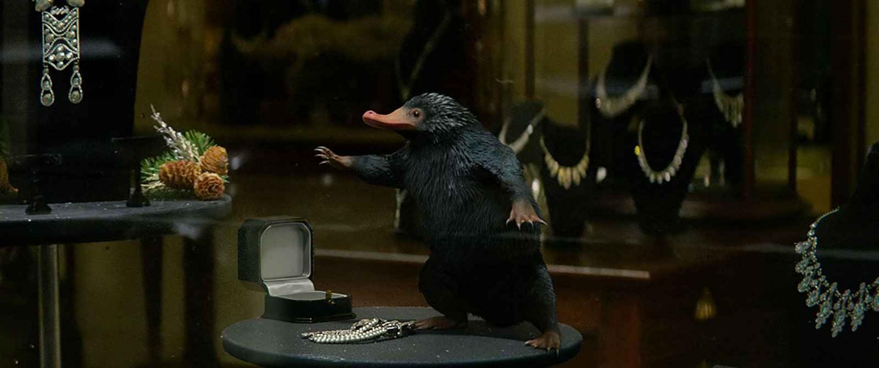 Fabeldier uit Fantastic Beasts and Where to Find Them' bestaat echt