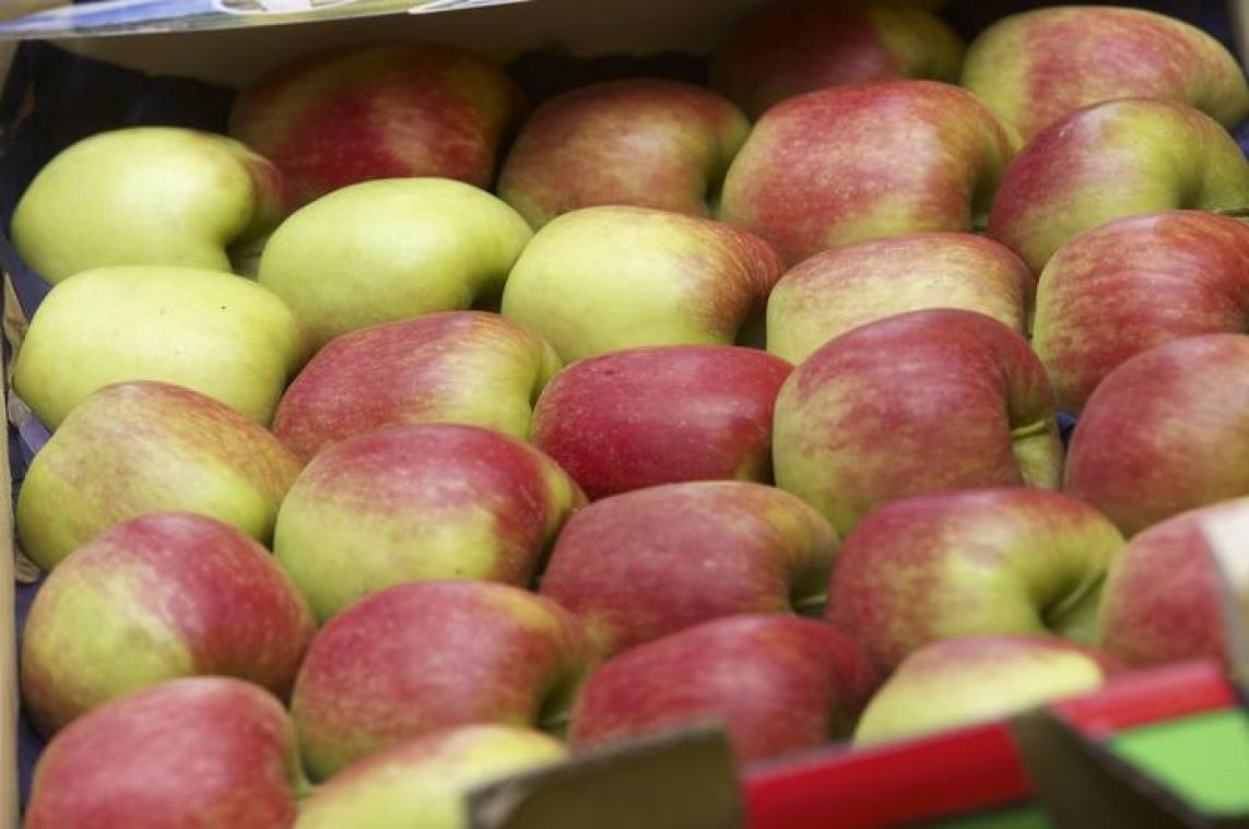 Overschot fruitboycot gaat naar goed doel