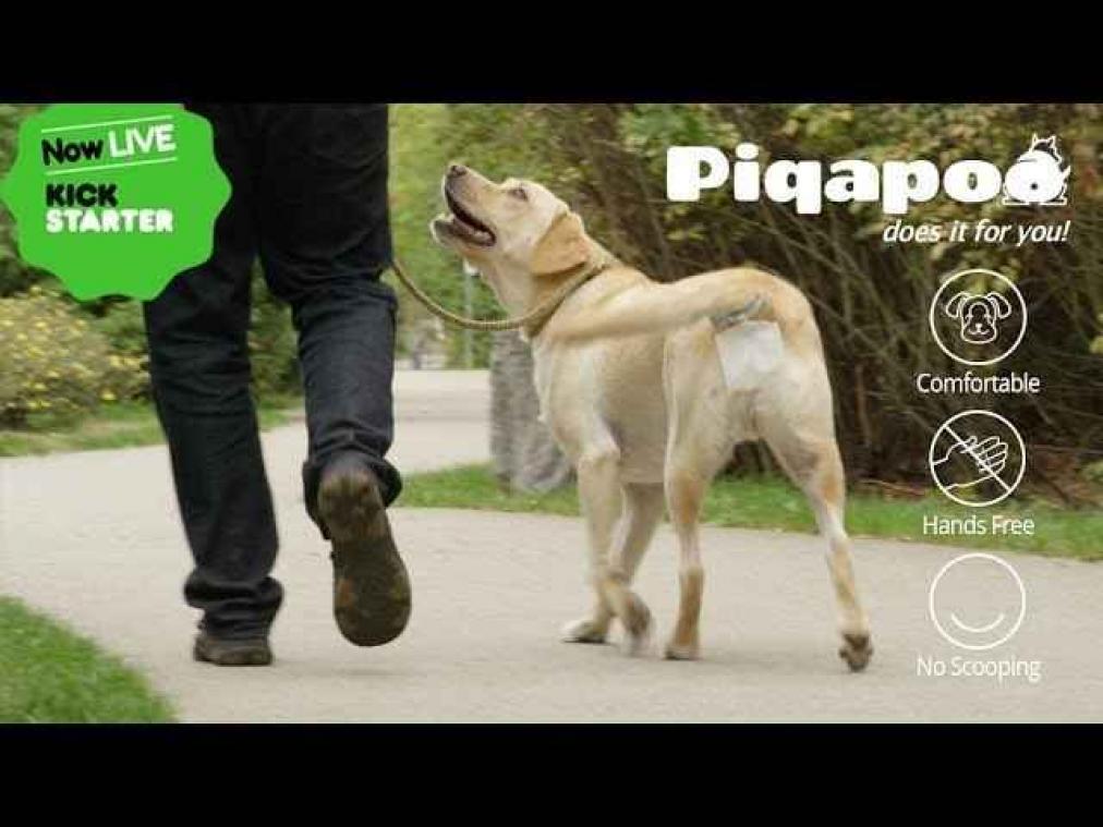Dit gadget maakt wandelen met je hond des te aangenamer