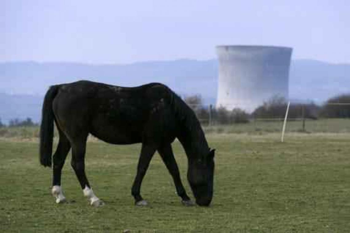 Zwitsers spreken zich in referendum uit over kernuitstap