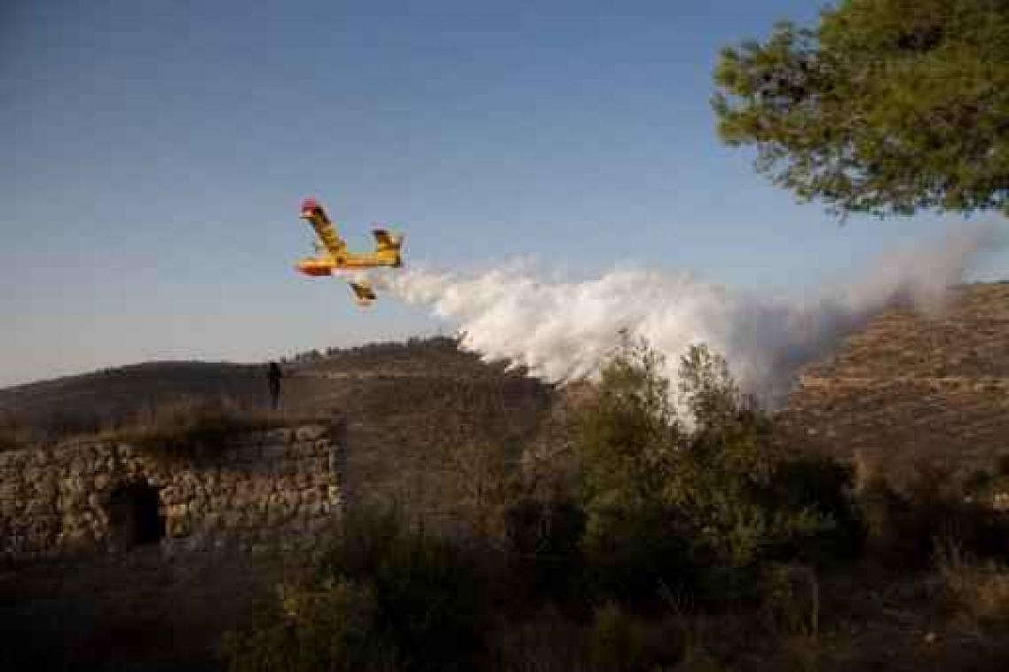 Bosbranden Israël: vlammen gedoofd, 35 mensen opgepakt