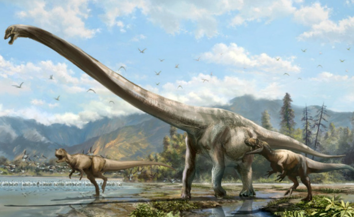 Nieuwe dinosaurussoort ontdekt in China 