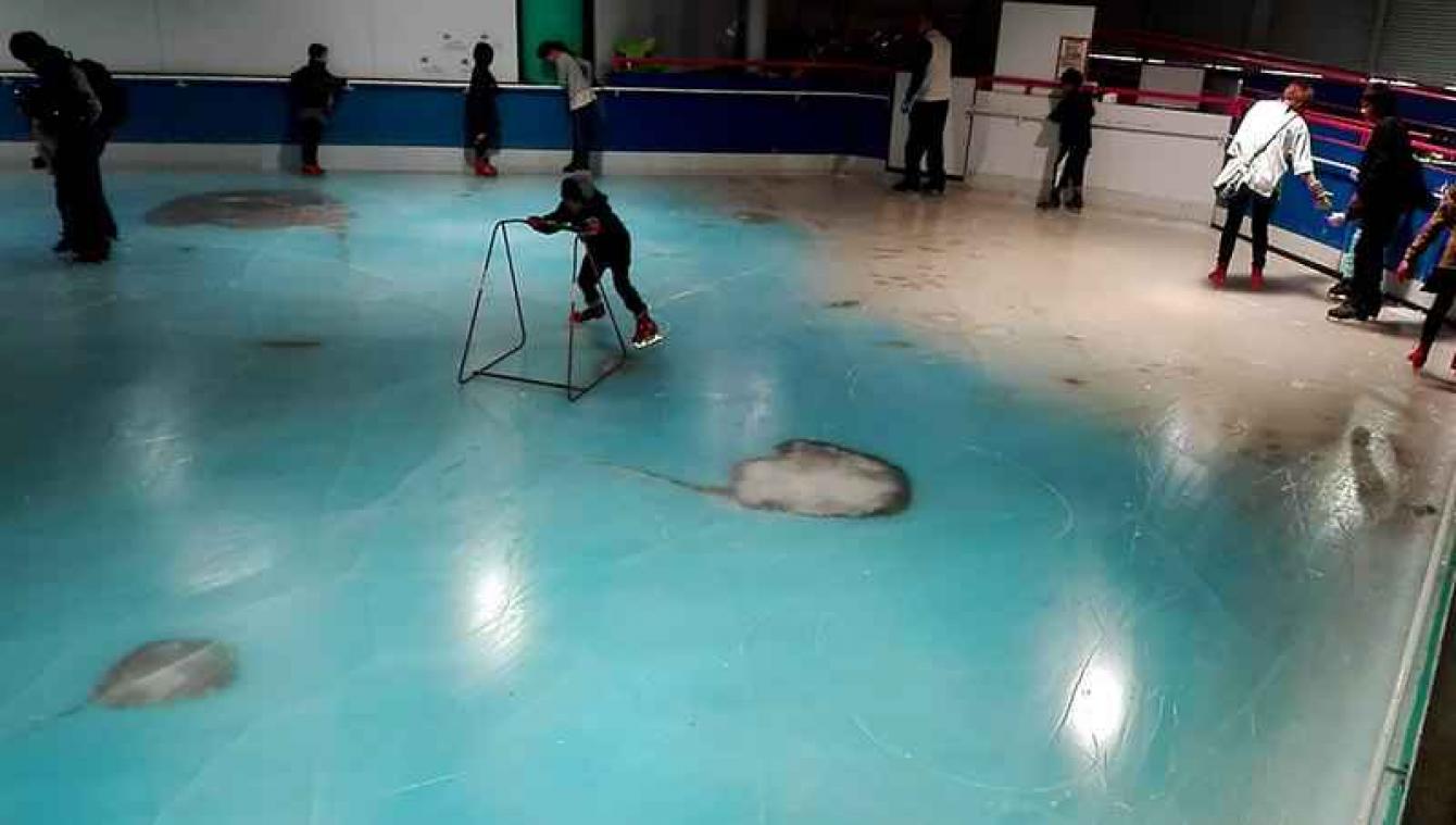 Schaatsbaan met dode vissen oogst veel kritiek