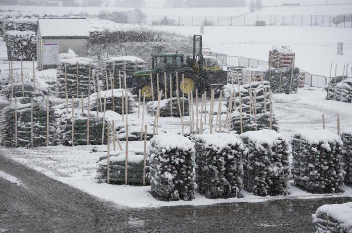 De Ardense spar, succesvol in de export