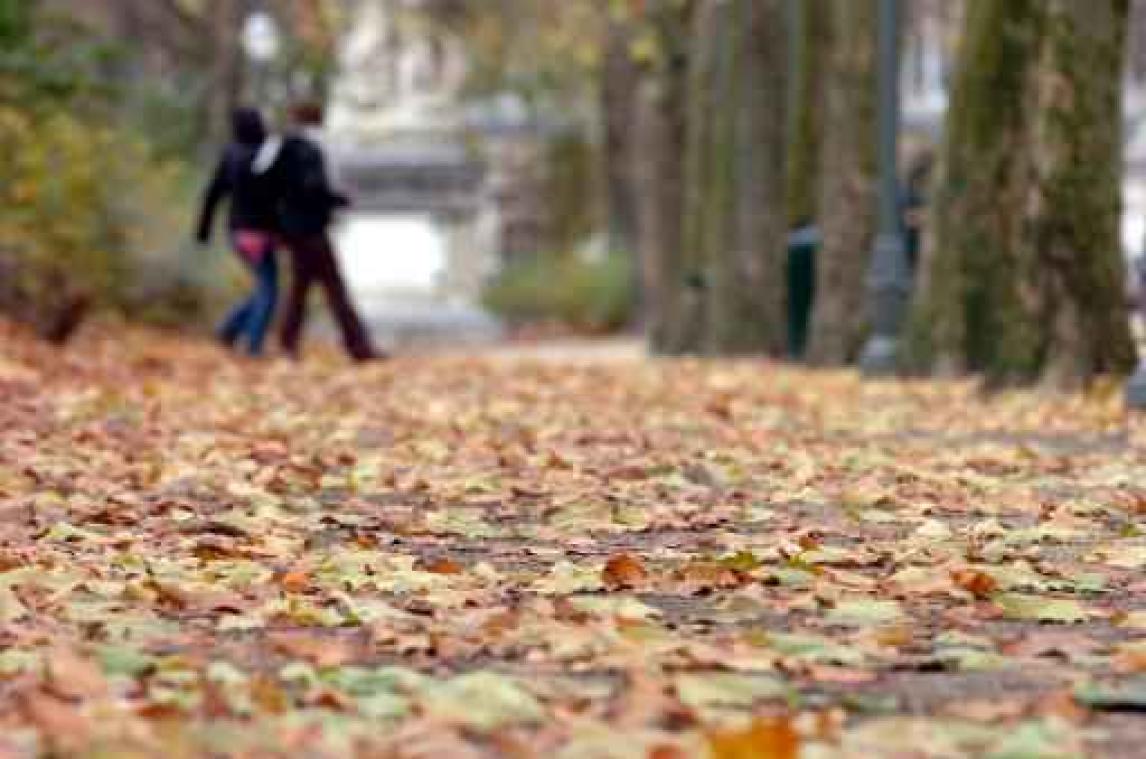 Herfst was abnormaal droog