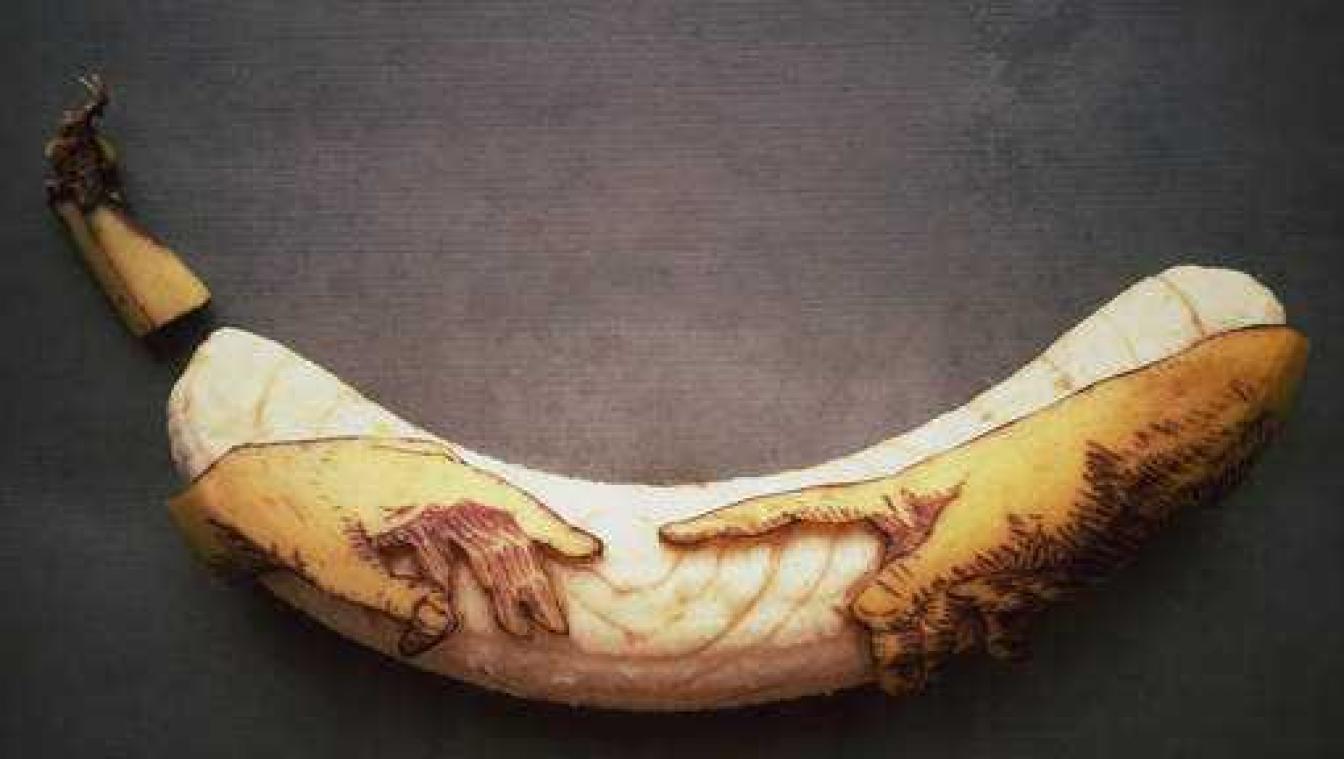 Bananenkunstenaar verovert het internet