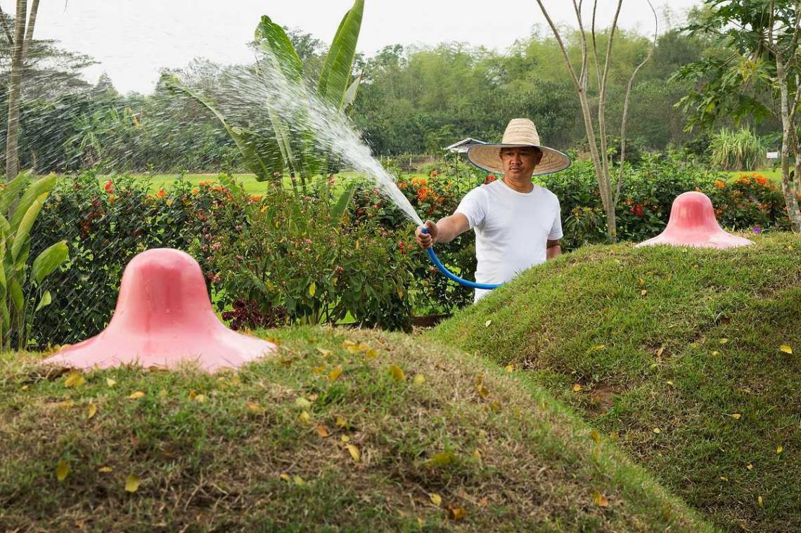 Erotische tuin in Thailand doet bezoekers blozen