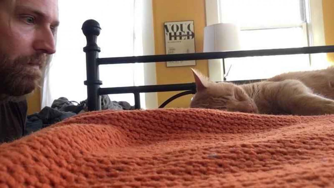 Man neemt wraak op kat die hem 's nachts wakker miauwt