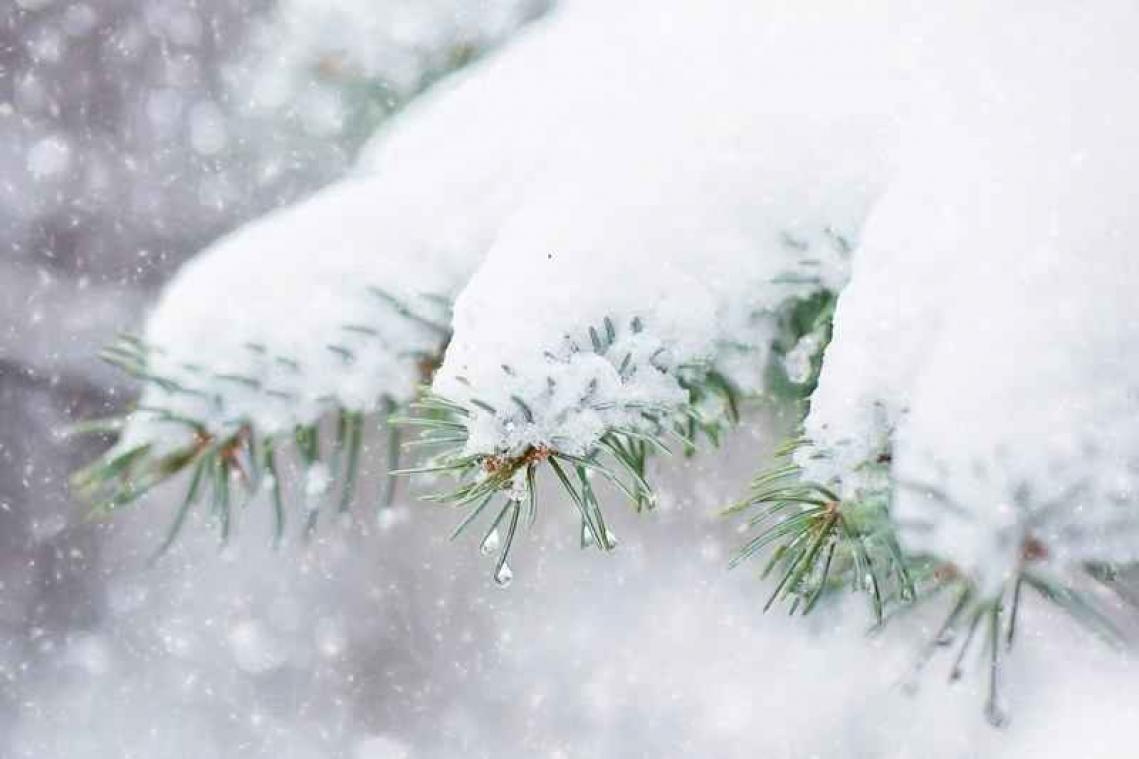 Je kerstboom versieren, hoe doe je dat?