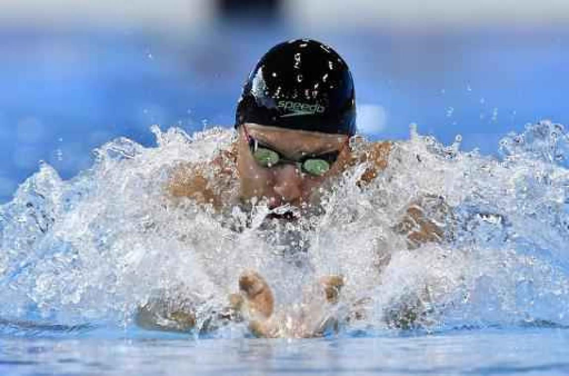 WK zwemmen kortebaan - Jonas Coreelman gaat eruit in reeksen 50 meter schoolslag