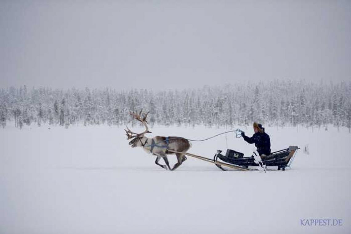 Lapland: In the middle of snowhere