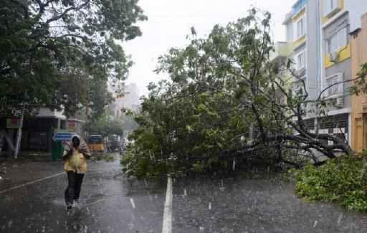 Tien doden na doortocht cycloon Vardah over India