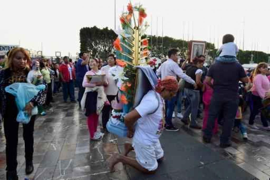 Miljoenen pelgrims op Mariabedevaart in Mexico-Stad