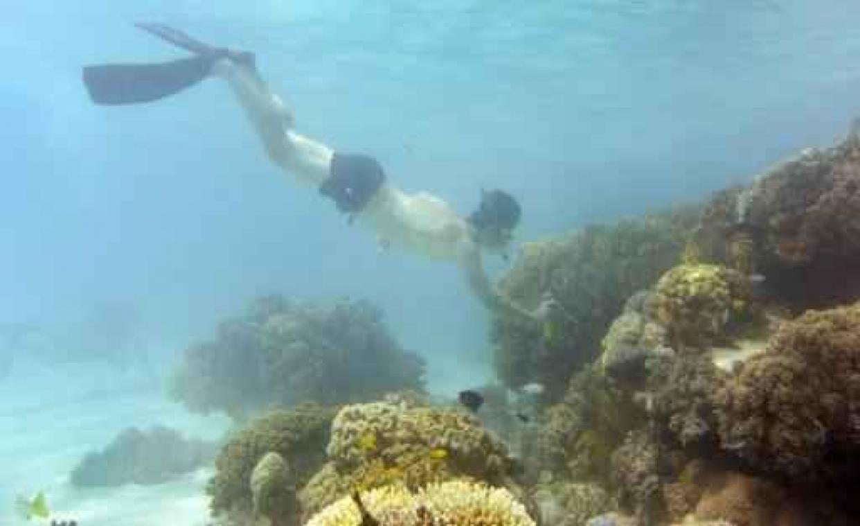 Vierde dodelijk ongeval aan de Great Barrier Reef in weken