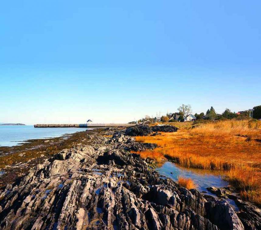 Quebec: de gedroomde bestemming voor foodies