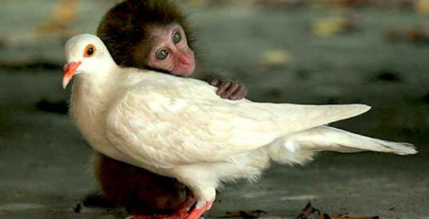 #TGIF: Zet het weekend goed in met een dikke knuffel
