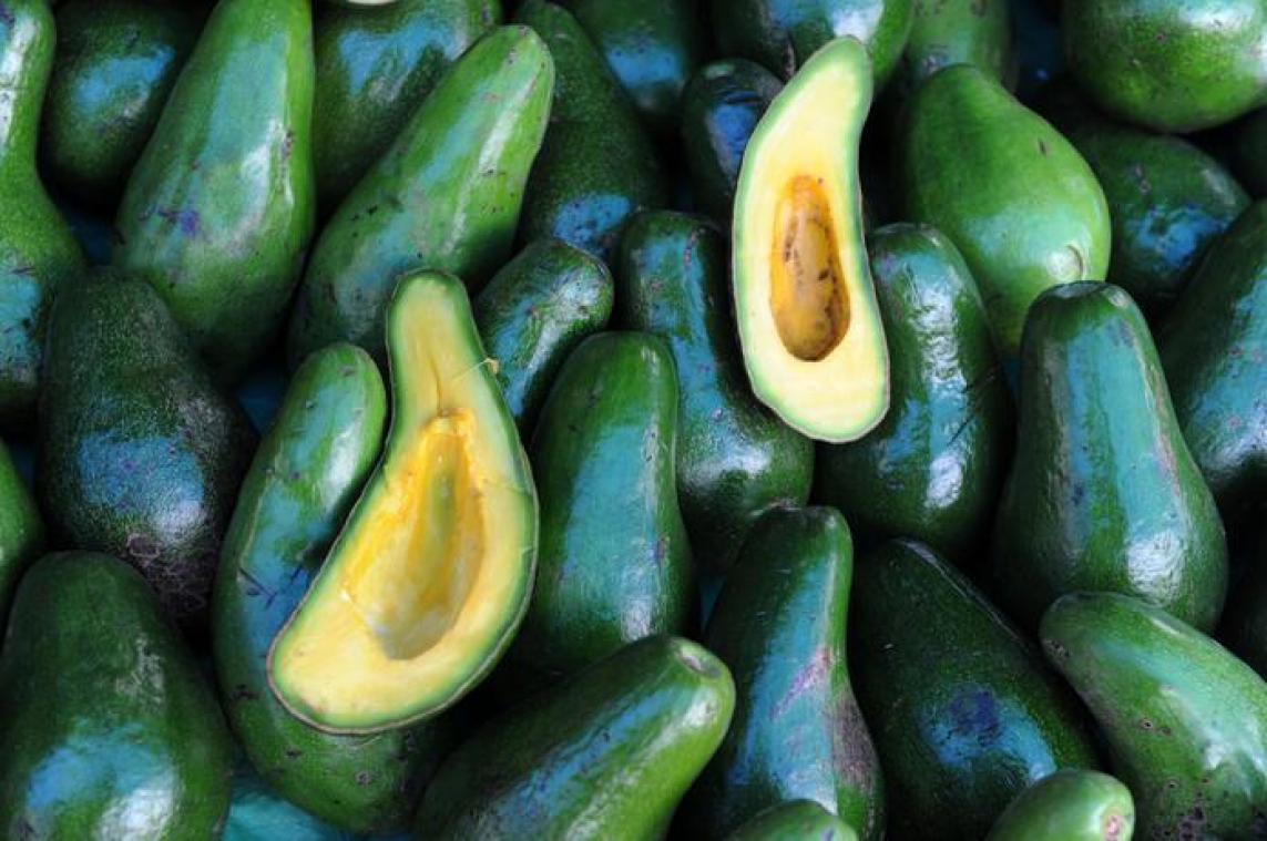 Avocadorestaurant opent de deuren in Amsterdam