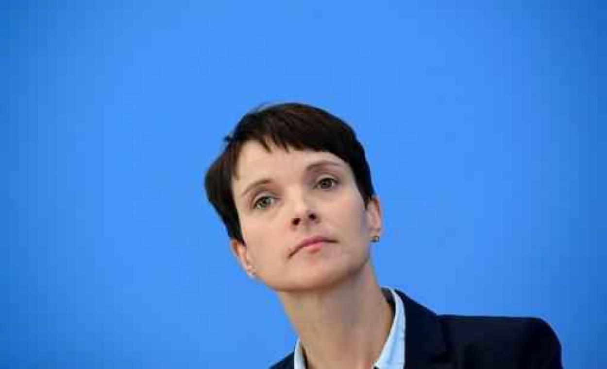 "Duitsland is niet meer veilig", zegt Alternative für Deutschland