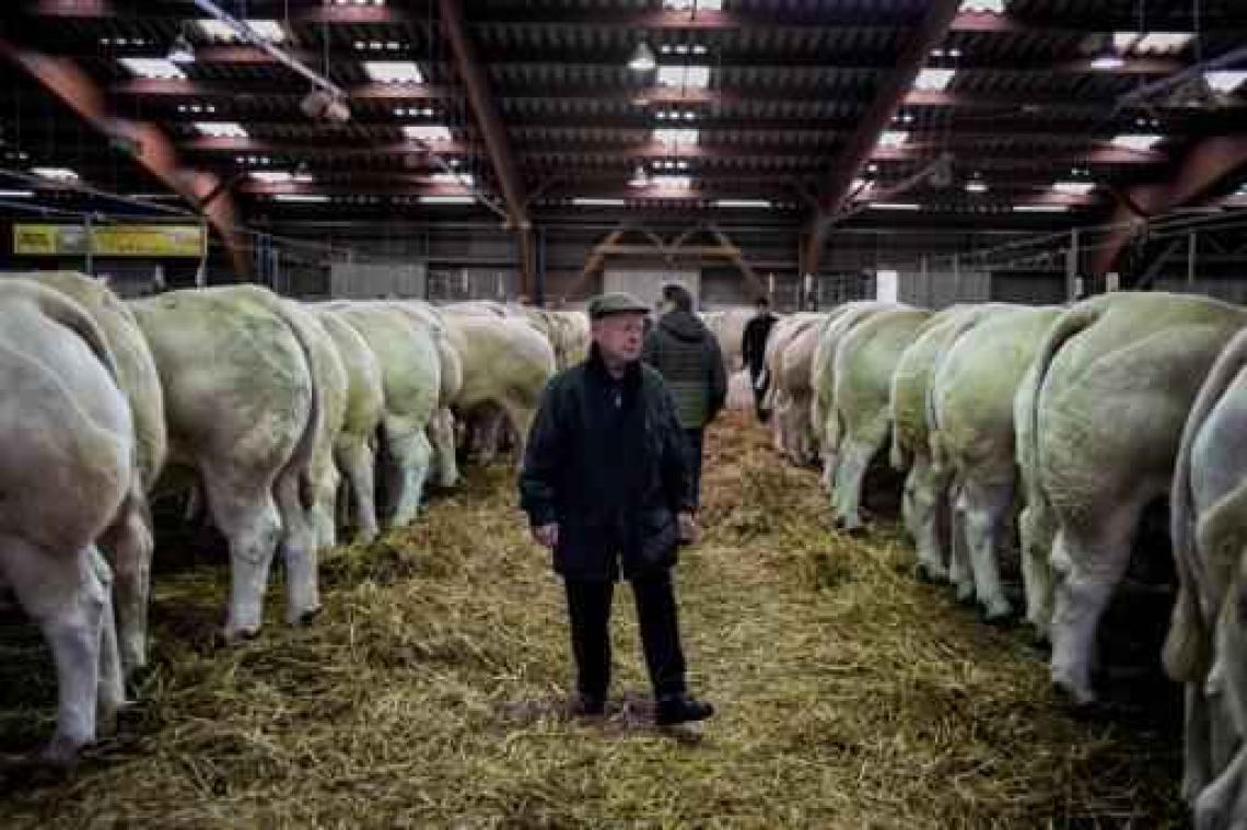 Verenigde Staten heropenen handelsoorlog over hormonenvlees