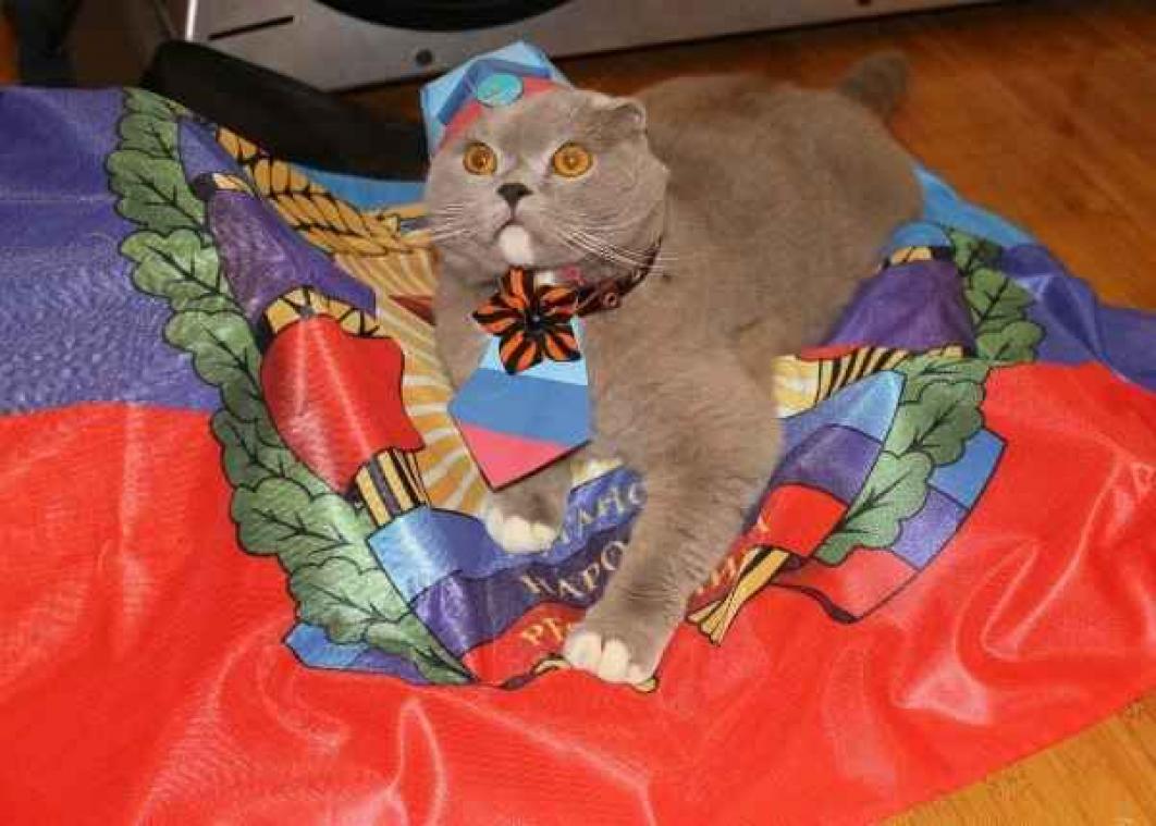 Oekraïense afscheidingsbeweging kiest meest patriottische kat