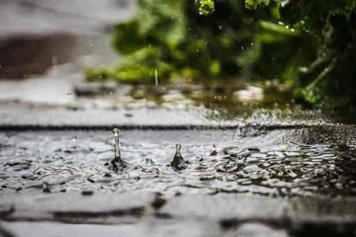 Vandaag zacht met regen en opklaringen